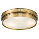 Helnys Modern Brass LED Ceiling Light Flush Mount Home Living Room Lighting