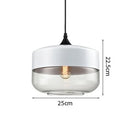 Helnys Modern Nordic LED Pendant Light Fixture with Wood Color Glass