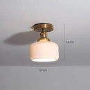 Helnys Nordic Copper LED Ceiling Lights with Switch for Home Lighting