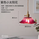 Helnys Copper Glass LED Pendant Lamp Switch Amber Nordic Hanging Lights