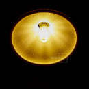 Helnys White Ceramic Brass Pendant Lights for Restaurant Bedroom - Nordic Style