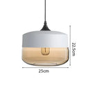 Helnys Modern Nordic LED Pendant Light Fixture with Wood Color Glass