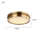 Helnys Modern Brass LED Ceiling Light Flush Mount Home Living Room Lighting