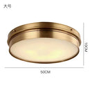 Helnys Modern Brass LED Ceiling Light Flush Mount Home Living Room Lighting