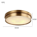 Helnys Modern Brass LED Ceiling Light Flush Mount Home Living Room Lighting