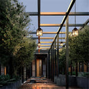 Helnys Outdoor Ceiling Pendant Light with Clear Glass Shade