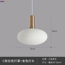 Helnys Nordic Glass Pendant Lights LED Hanging Lamp for Bedroom Living Room