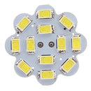 Helnys 10pcs G4 LED 12V Bulb 3W Warm White/White 12*SMD5630 for Home Lighting