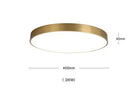 Helnys Copper LED Ceiling Lights: Nordic Modern Kitchen Hallway Acrylic Lamps