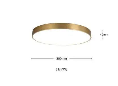 Helnys Copper LED Ceiling Lights: Nordic Modern Kitchen Hallway Acrylic Lamps
