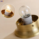 Helnys Modern Copper LED Ceiling Light for Kitchen Hallway Balcony & Porch