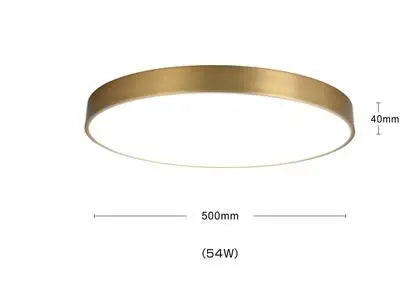 Helnys Copper LED Ceiling Lights: Nordic Modern Kitchen Hallway Acrylic Lamps