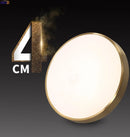 Helnys Copper LED Ceiling Lights: Nordic Modern Kitchen Hallway Acrylic Lamps