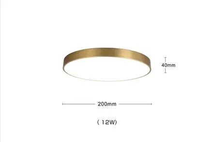Helnys Copper LED Ceiling Lights: Nordic Modern Kitchen Hallway Acrylic Lamps