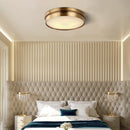 Helnys Modern Brass LED Ceiling Light Flush Mount Home Living Room Lighting