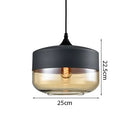 Helnys Modern Nordic LED Pendant Light Fixture with Wood Color Glass