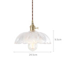 Helnys Glass Pendant Lights Bar Cafe Living Room Edison Industrial Vintage Lamp