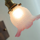 Helnys Glass Pink LED Wall Lights Pull Chain Switch Sconce Mirrror Light