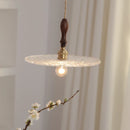 Helnys Clear Glass LED Pendant Light - Minimalist Circular Coffee Loft Hanging Lamp