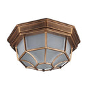 Helnys Rustic Frosted Glass Outdoor Ceiling Light Flush Lamp Europe Style IP Rate Fixture