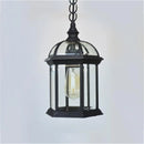 Helnys Outdoor Pendant Light with Clear Glass Shade
