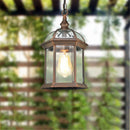 Helnys Outdoor Pendant Light with Clear Glass Shade