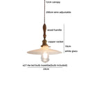 Helnys Clear Glass LED Pendant Lights Modern Hanging Lamp for Home Decor