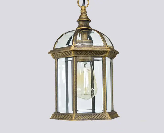 Helnys Outdoor Pendant Light with Clear Glass Shade