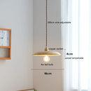 Helnys Nordic Modern Ash Walnut Wood Copper LED Pendant Lights for Home Indoor Decor