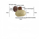 Helnys Wood Cream Glass Wall Lamp for Living Room & Bathroom