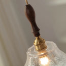 Helnys Walnut Wood Glass LED Pendant Lamp Adjustable Hanging Light