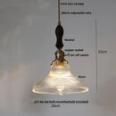 Helnys LED Glass Pendant Lights Adjustable Indoor Home Decor Hang Lamp