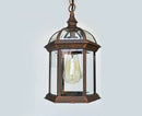 Helnys Outdoor Pendant Light with Clear Glass Shade