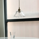 Helnys Walnut Wood Glass LED Pendant Lamp Adjustable Hanging Light