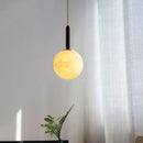 Helnys Black Iron LED Pendant Lights with PMMA Shade and Rope Hanging Lamp