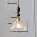Helnys Nordic LED Glass Pendant Light Fixture with Wood Accent