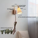 Helnys Rotatable Nordic Glass Wall Sconce with Pull Chain Switch