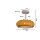 Helnys Nordic LED Ceiling Lamp with Glass Lampshade for Home Indoor Lighting