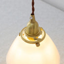Helnys Copper Socket LED Pendant Lamp Glass Adjustable Hanging Light