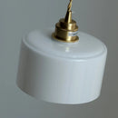 Helnys Nordic Copper Glass LED Pendant Light for Home Decor