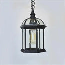 Helnys Outdoor Pendant Light with Clear Glass Shade