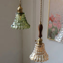 Helnys Glass LED Pendant Lamp Walnut Wood Nordic Modern Hanging Light