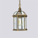Helnys Outdoor Pendant Light with Clear Glass Shade