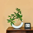 Helnys Crescent Moon Vase Eco-Friendly Home Decoration