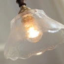 Helnys Walnut Wood Glass LED Pendant Lamp Adjustable Hanging Light