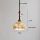 Helnys Ceramic LED Pendant Lights with Ash Wood Handle for Home Décor