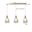 Helnys Wood LED Pendant Lamp Nordic Copper Glass Hanging Light