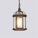 Helnys Outdoor Pendant Light with Clear Glass Shade