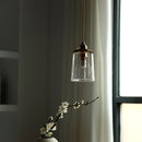 Helnys Clear Glass LED Pendant Light Modern Brass Hanging Lamp