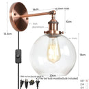 Helnys Globe LED Wall Sconce Rustic Industrial Mirror Light